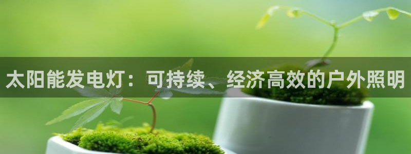 太阳能发电灯：可持续、经济高效的户外照明