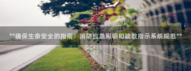 **确保生命安全的指南：消防应急照明和疏散指示系统规范**