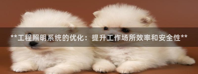 **工程照明系统的优化:提升工作场所效率和安全性**