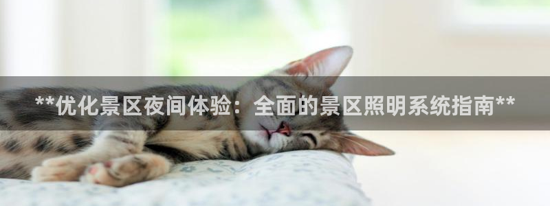 **优化景区夜间体验：全面的景区照明系统指南**