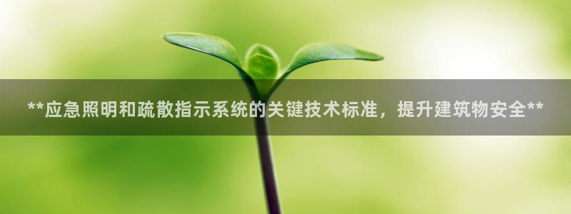 **应急照明和疏散指示系统的关键技术标准，提升建筑物安全**