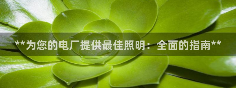 **为您的电厂提供最佳照明：全面的指南**