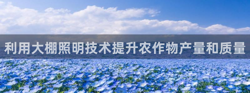 利用大棚照明技术提升农作物产量和质量