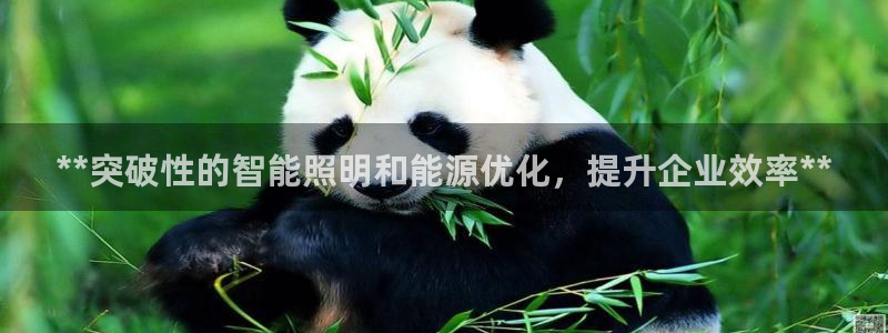 **突破性的智能照明和能源优化，提升企业效率**