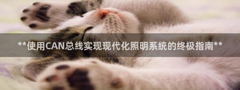 **使用CAN总线实现现代化照明系统的终极指南**