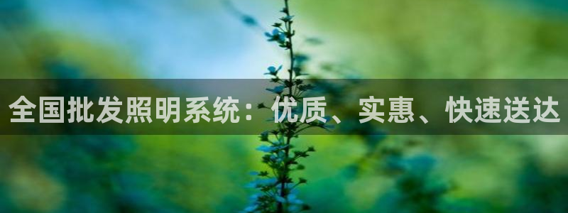 全国批发照明系统：优质、实惠、快速送达