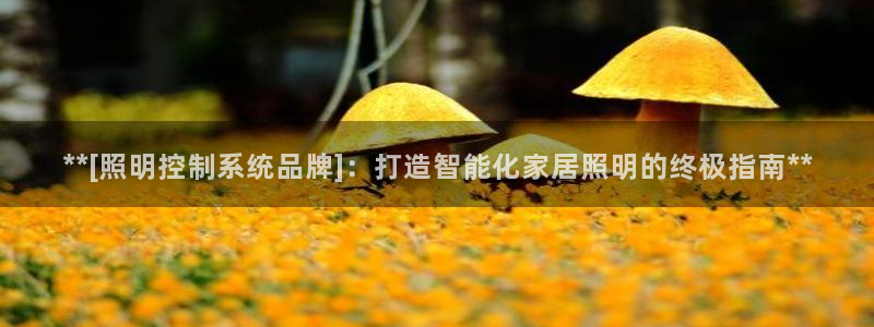 **[照明控制系统品牌]：打造智能化家居照明的终极指南**