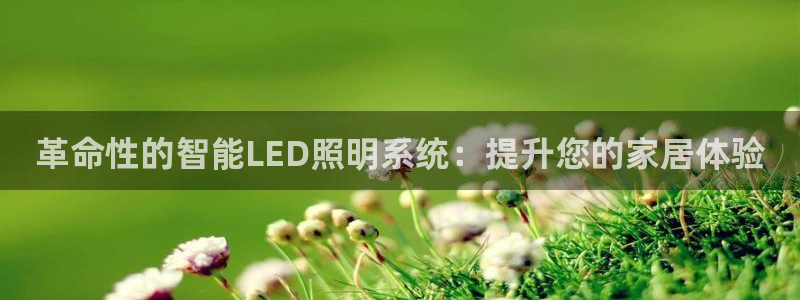 革命性的智能LED照明系统：提升您的家居体验