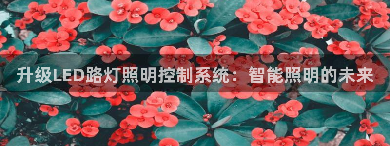 升级LED路灯照明控制系统:智能照明的未来
