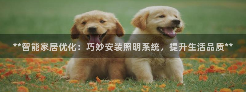 **智能家居优化：巧妙安装照明系统，提升生活品质**