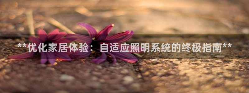 **优化家居体验：自适应照明系统的终极指南**