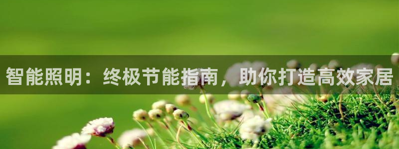 智能照明：终极节能指南，助你打造高效家居