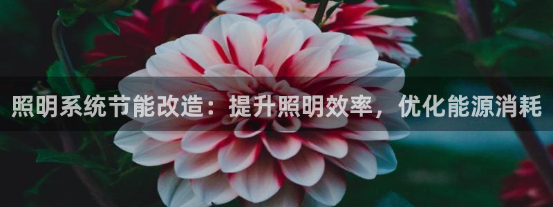照明系统节能改造：提升照明效率，优化能源消耗
