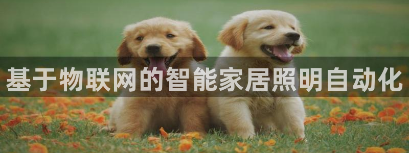 基于物联网的智能家居照明自动化