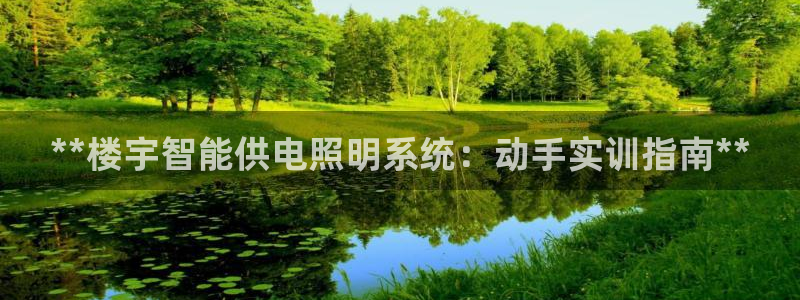 **楼宇智能供电照明系统：动手实训指南**