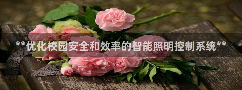 **优化校园安全和效率的智能照明控制系统**