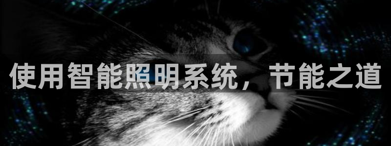 使用智能照明系统，节能之道