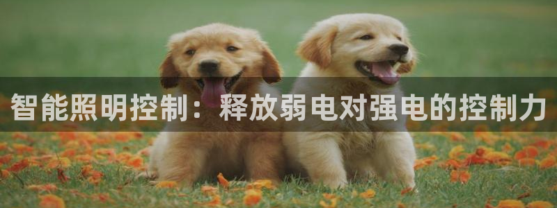 智能照明控制：释放弱电对强电的控制力