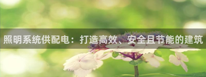 照明系统供配电:打造高效、安全且节能的建筑
