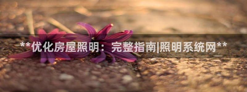 **优化房屋照明：完整指南|照明系统网**