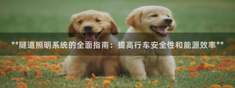 **隧道照明系统的全面指南：提高行车安全性和能源效率**