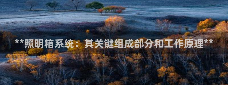 **照明箱系统：其关键组成部分和工作原理**
