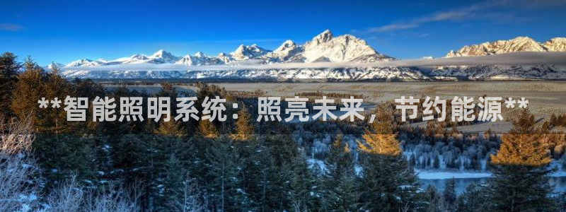 **智能照明系统：照亮未来，节约能源**