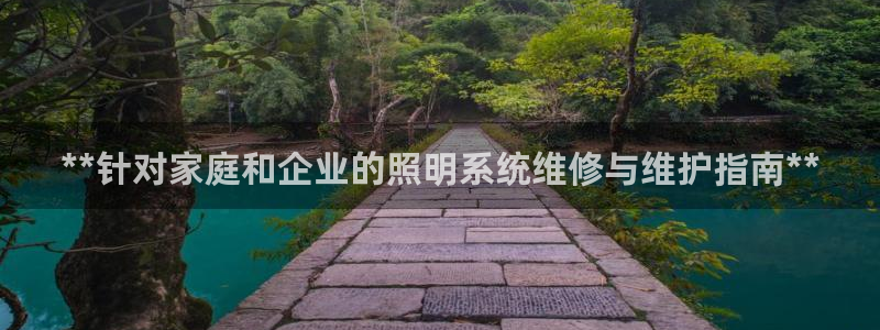 **针对家庭和企业的照明系统维修与维护指南**