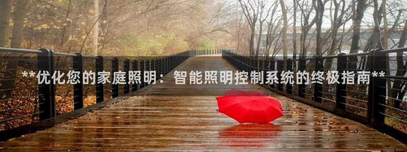 **优化您的家庭照明：智能照明控制系统的终极指南**