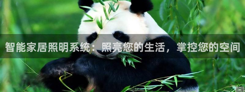 智能家居照明系统：照亮您的生活，掌控您的空间