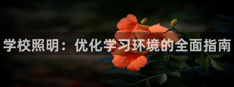 学校照明：优化学习环境的全面指南