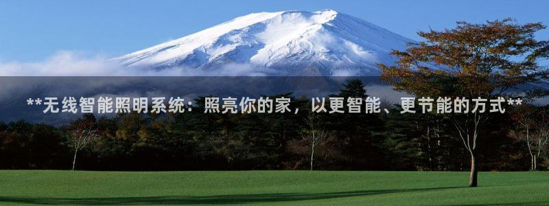 **无线智能照明系统：照亮你的家，以更智能、更节能的方式**