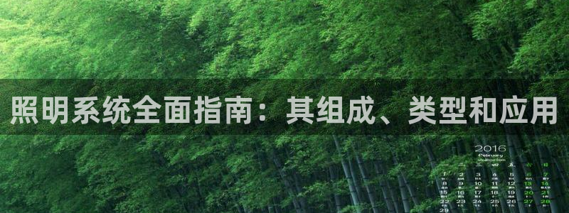 照明系统全面指南：其组成、类型和应用