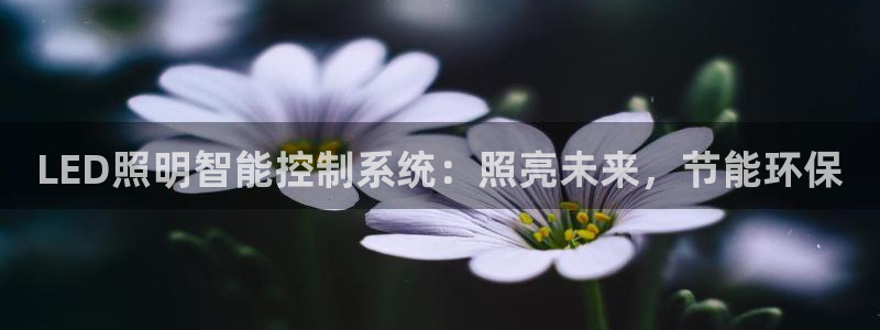 LED照明智能控制系统：照亮未来，节能环保