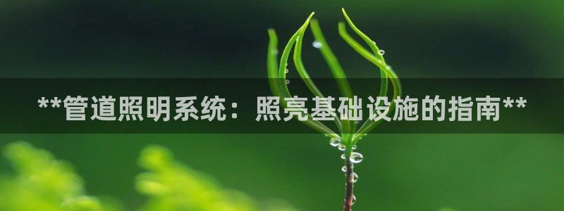**管道照明系统：照亮基础设施的指南**
