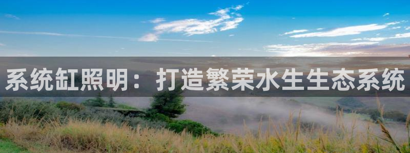 系统缸照明：打造繁荣水生生态系统