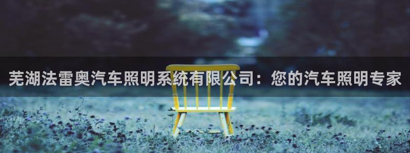 芜湖法雷奥汽车照明系统有限公司：您的汽车照明专家