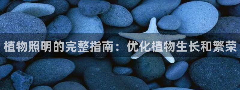 植物照明的完整指南：优化植物生长和繁荣