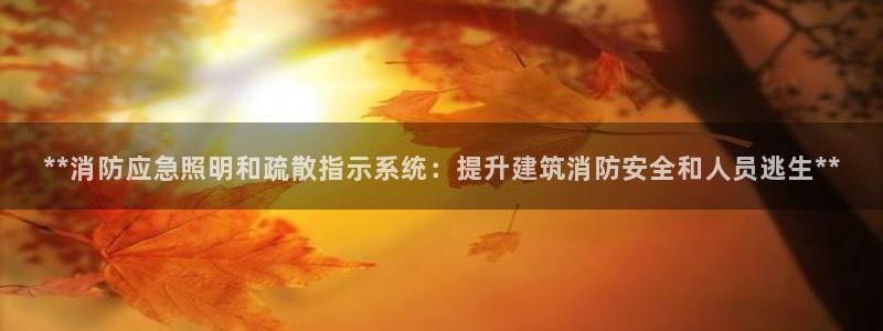 **消防应急照明和疏散指示系统:提升建筑消防安全和人员逃生**