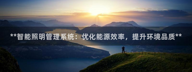 **智能照明管理系统：优化能源效率，提升环境品质**
