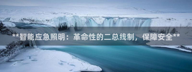 **智能应急照明：革命性的二总线制，保障安全**