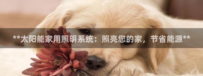 **太阳能家用照明系统：照亮您的家，节省能源**