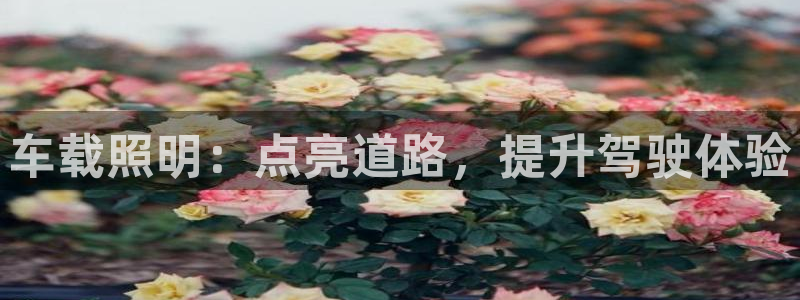 车载照明：点亮道路，提升驾驶体验