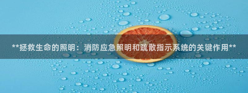 **拯救生命的照明：消防应急照明和疏散指示系统的关键作用**