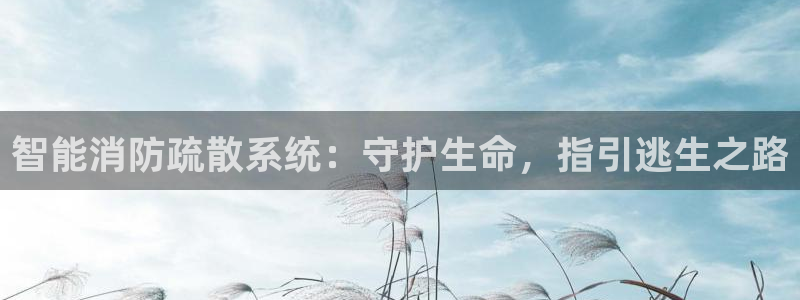智能消防疏散系统：守护生命，指引逃生之路