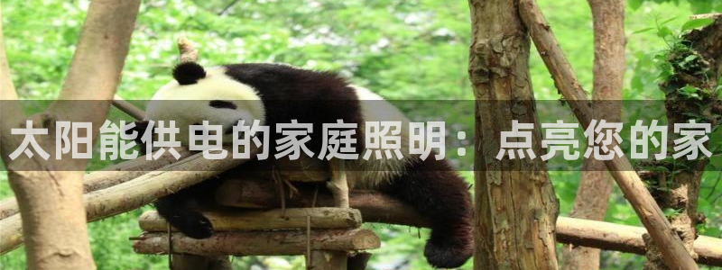 太阳能供电的家庭照明：点亮您的家