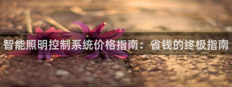 智能照明控制系统价格指南：省钱的终极指南