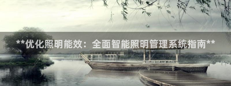 **优化照明能效：全面智能照明管理系统指南**
