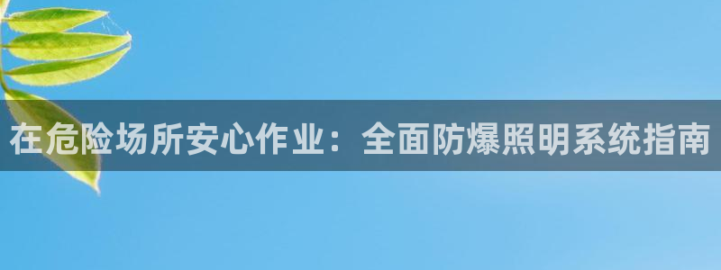 在危险场所安心作业：全面防爆照明系统指南