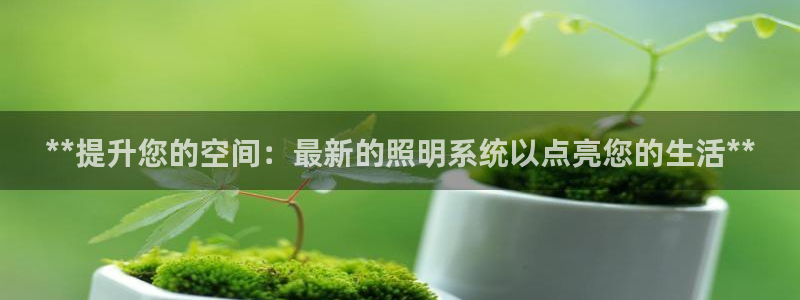 **提升您的空间：最新的照明系统以点亮您的生活**